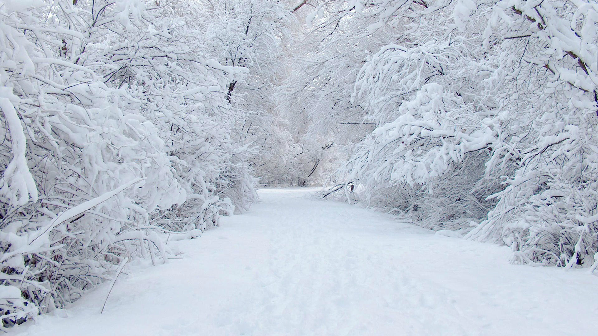 snow-winter-wallpaper-hd – a program of WEST CHESTER DANCE WORKS